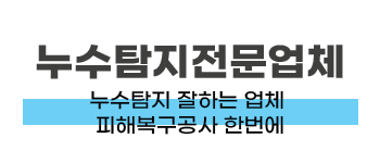 성남시 누수탐지 및 피해복구공사